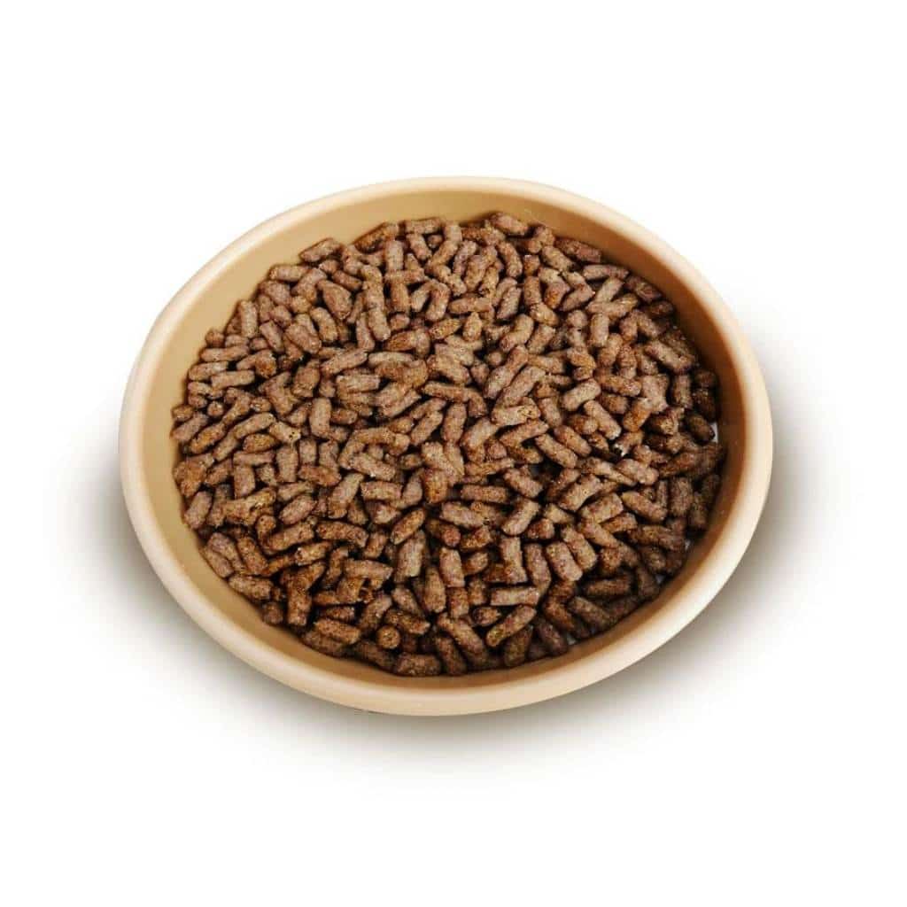 Brambles Semi-Moist Hedgehog Food - Home & Roost