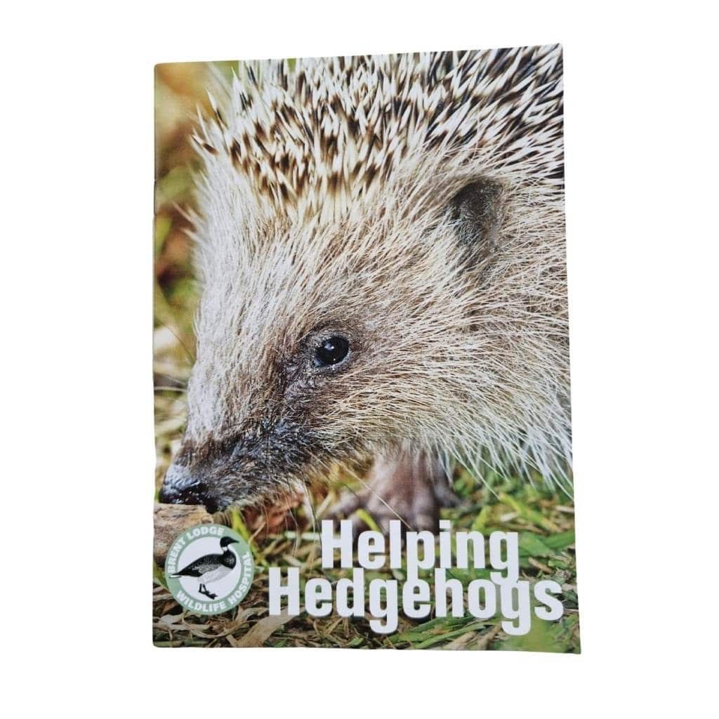 Hedgehog Feeding Station Starter Kit | 7 Items Included | The Perfect Set Up for Beginners - Home & Roost