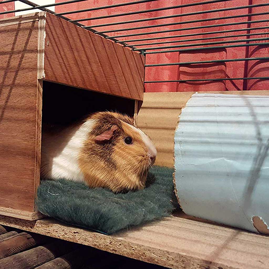Chinchilla House Nest Box Perfect For Mice, Rats, Hamsters & Guinea Pigs - Home & Roost