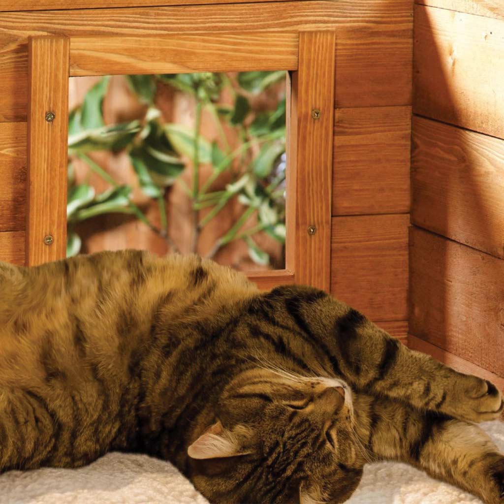 Cat House XL Microchip Cat Flap Self Heating Kennel with One Way Privacy Window | Perfect for 1-2 Cats - Home & Roost