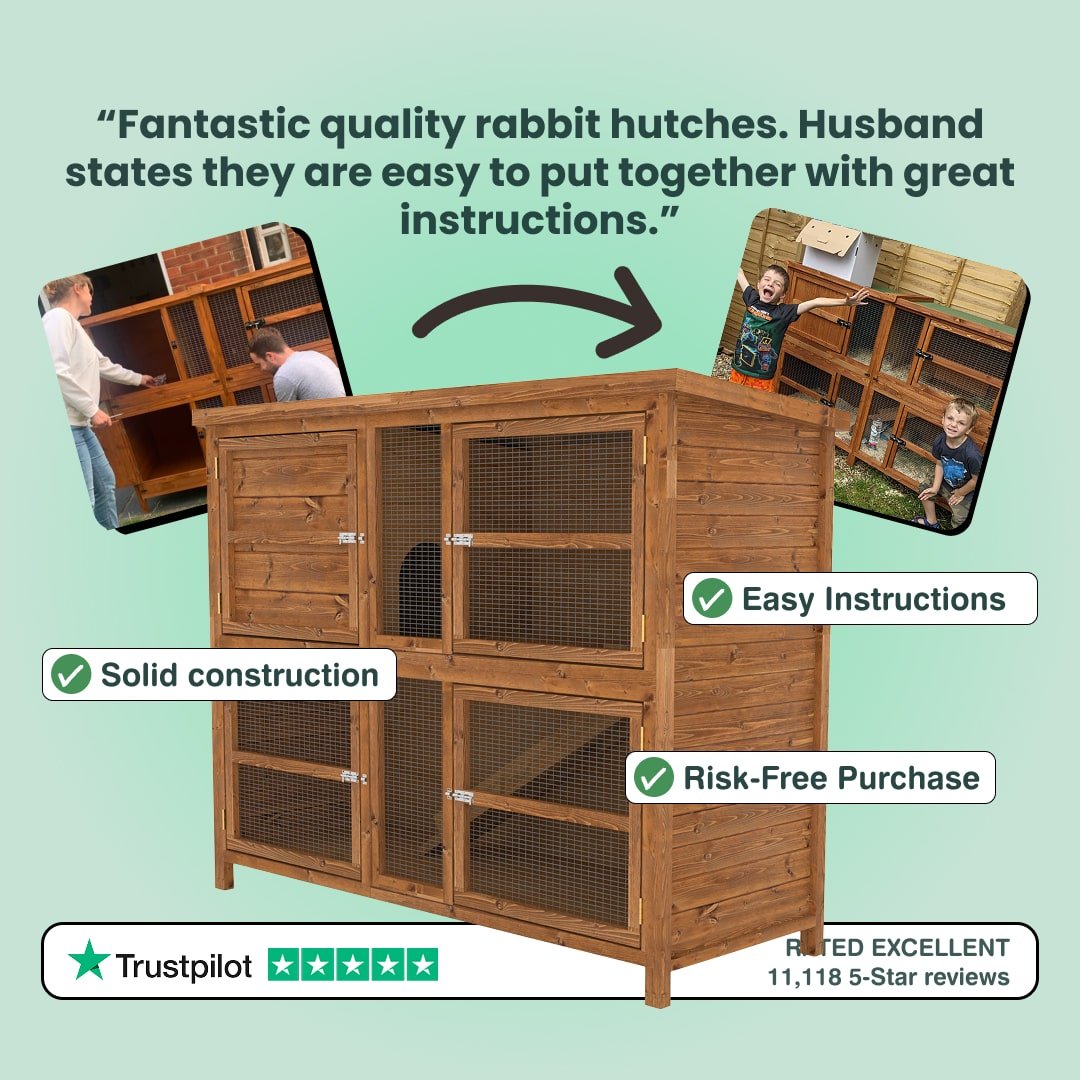 Wooden rabbit hutch with text highlighting features and positive reviews on a light green background