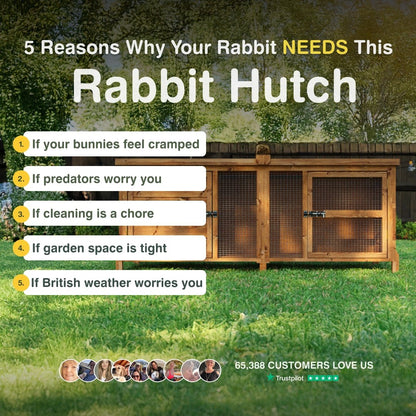 Wooden rabbit hutch with reasons why a rabbit needs one on a grassy background