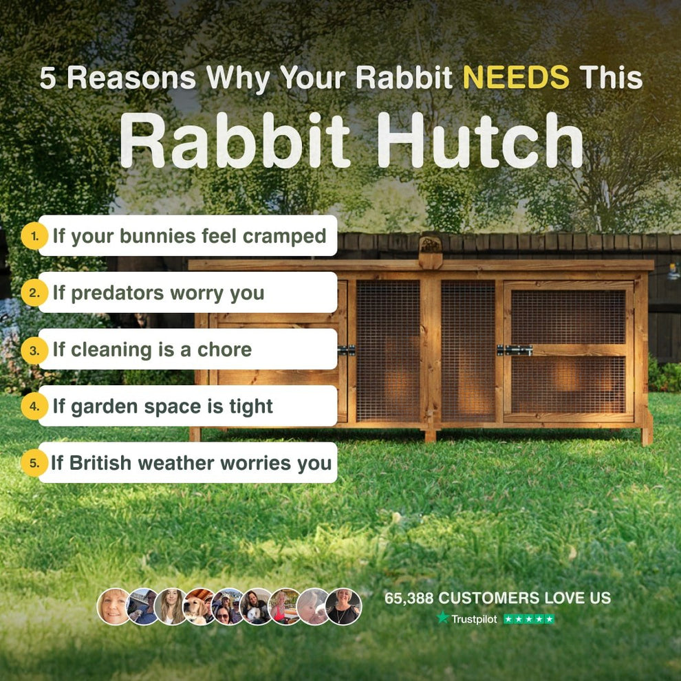 6ft Chartwell Single Luxury Rabbit Hutch – The Hutch Company