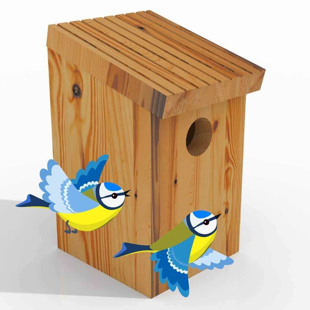 Keswick Bird Box | Ideal For Small Birds | Fully Assembled With Easy I ...