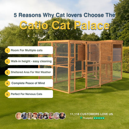 Catio Cat Palace with reasons for choosing it on a grassy area with trees in the background