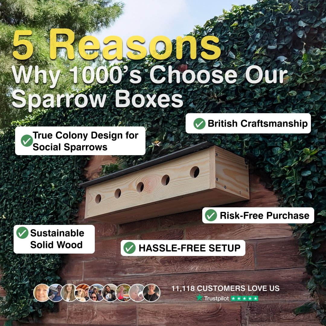 Sparrow Colony Nesting Box with SIG® Slate Roof – The Hutch Company