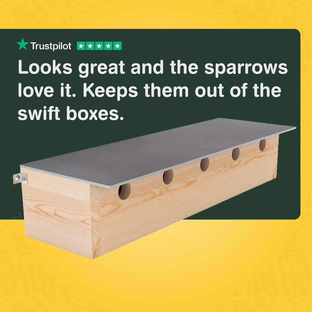 Sparrow Colony Nesting Box with SIG® Slate Roof – The Hutch Company