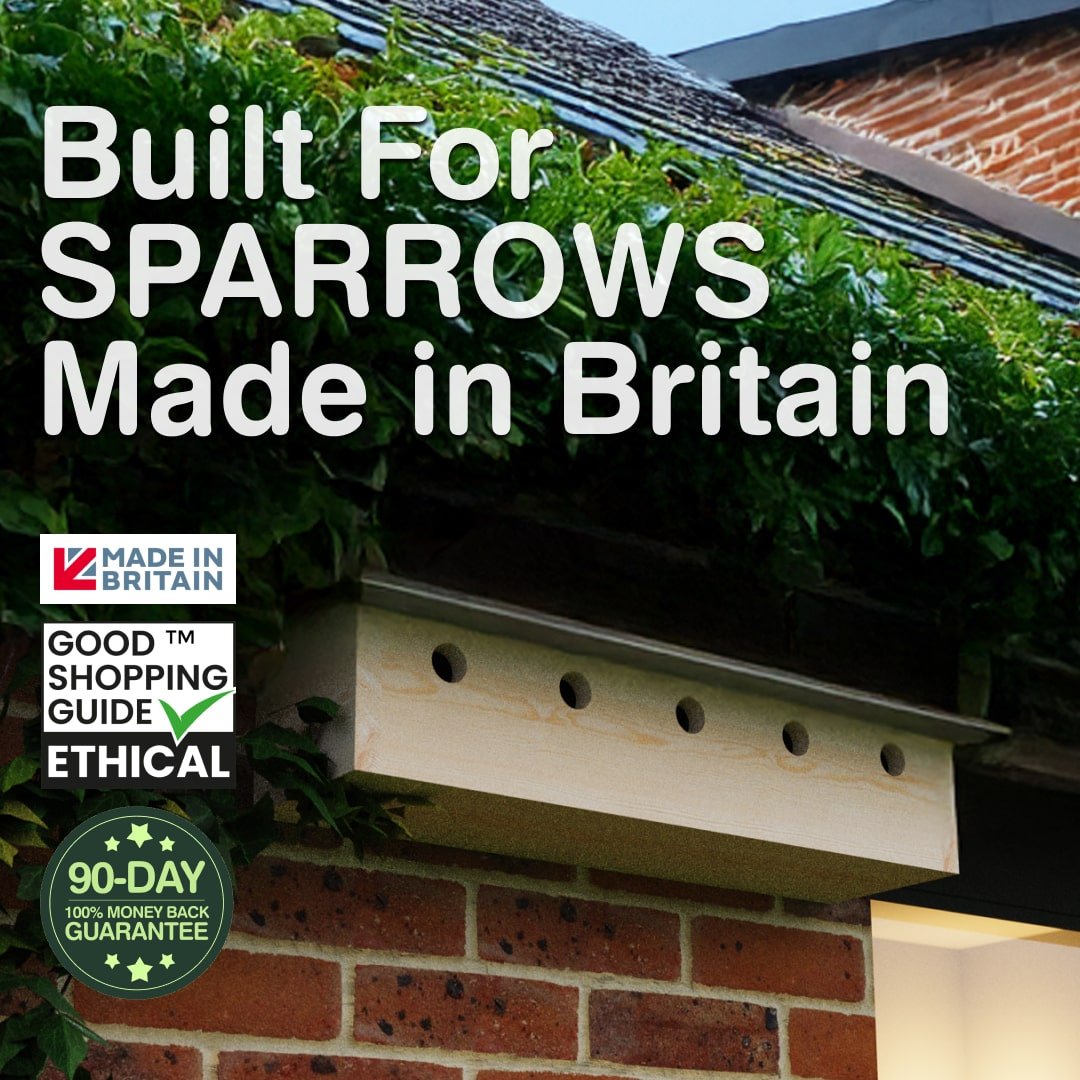 Sparrow Colony Nesting Box with SIG® Slate Roof – The Hutch Company