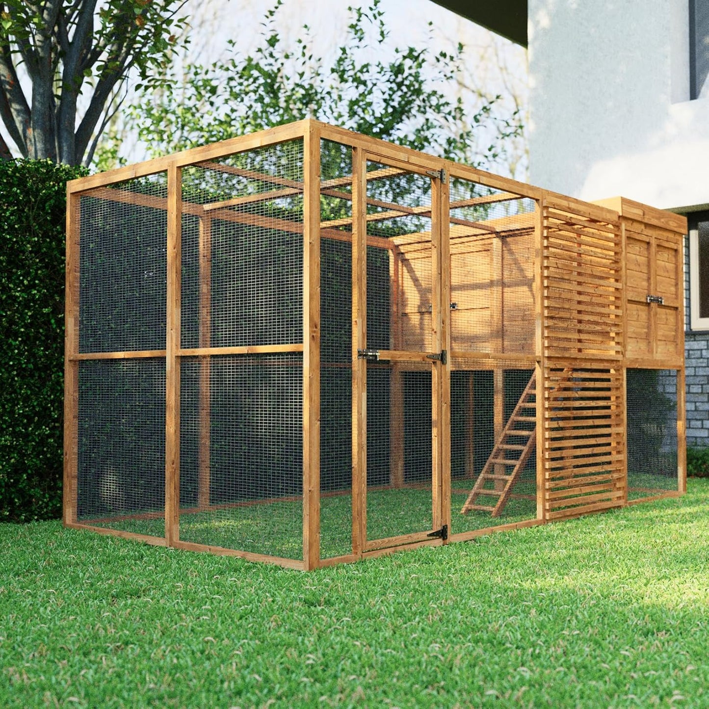 Walk in chicken coop with a ladder on a grassy area